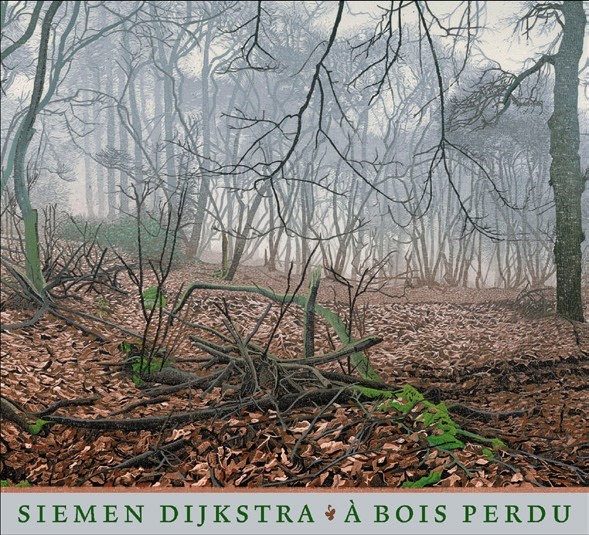 a-bois-perdu-siemen-dijkstra