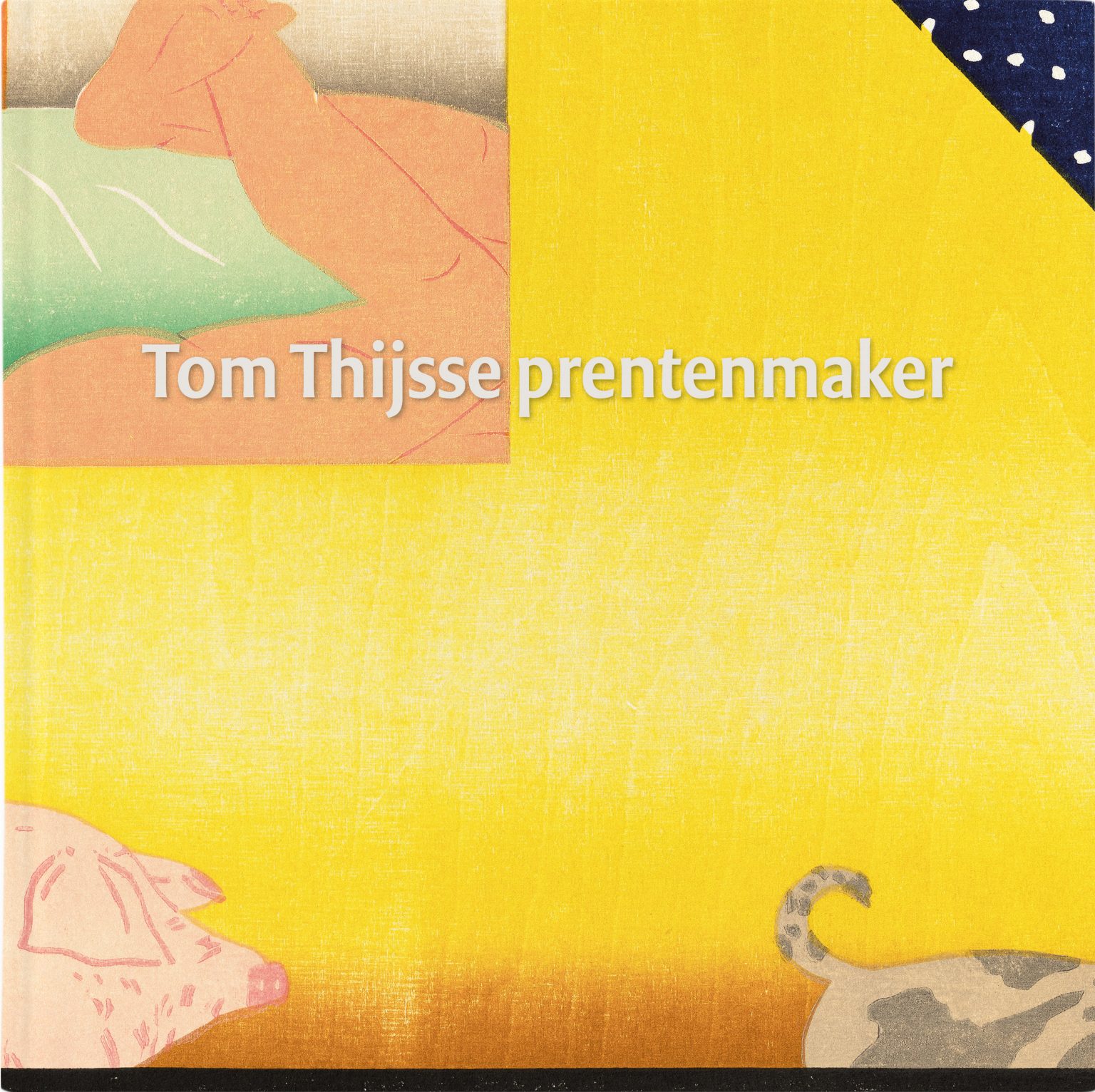 Boek Tom Thijsse prentenmaker
