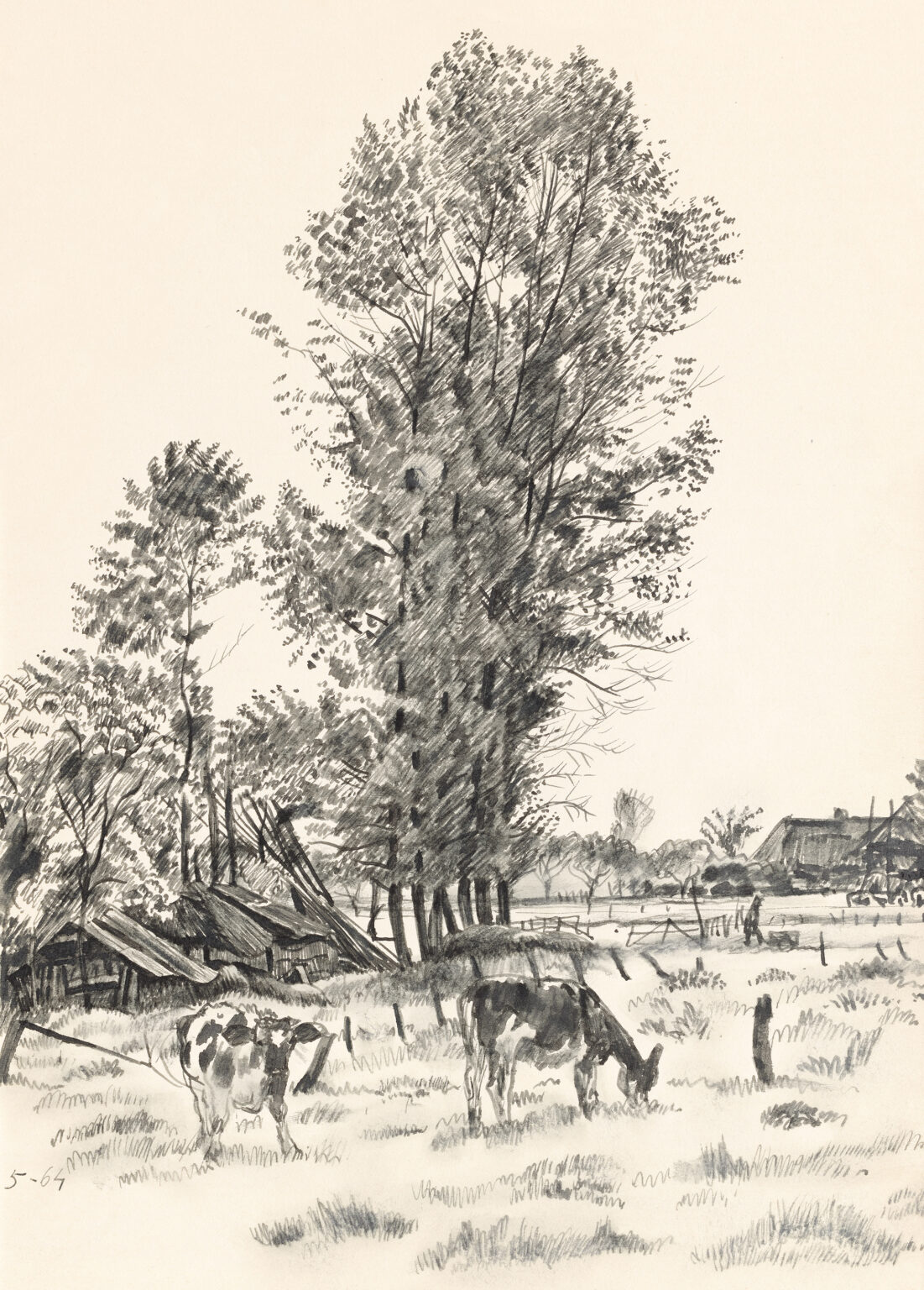 Kuno Brinks, Koeien, tekening, z.j., 300 x 220 mm